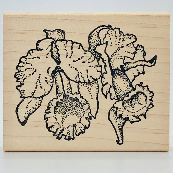 Orchids Stamp