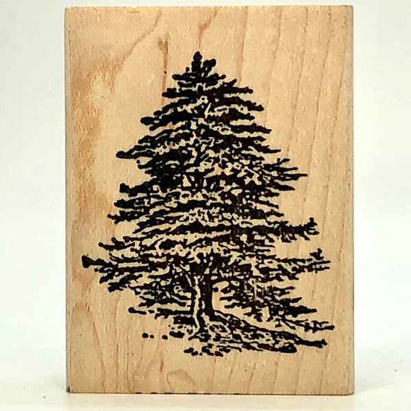 Cedar Stamp