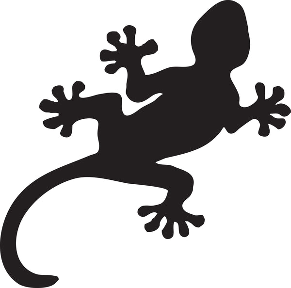 Gecko Decals