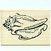 Conch Shell Stamp