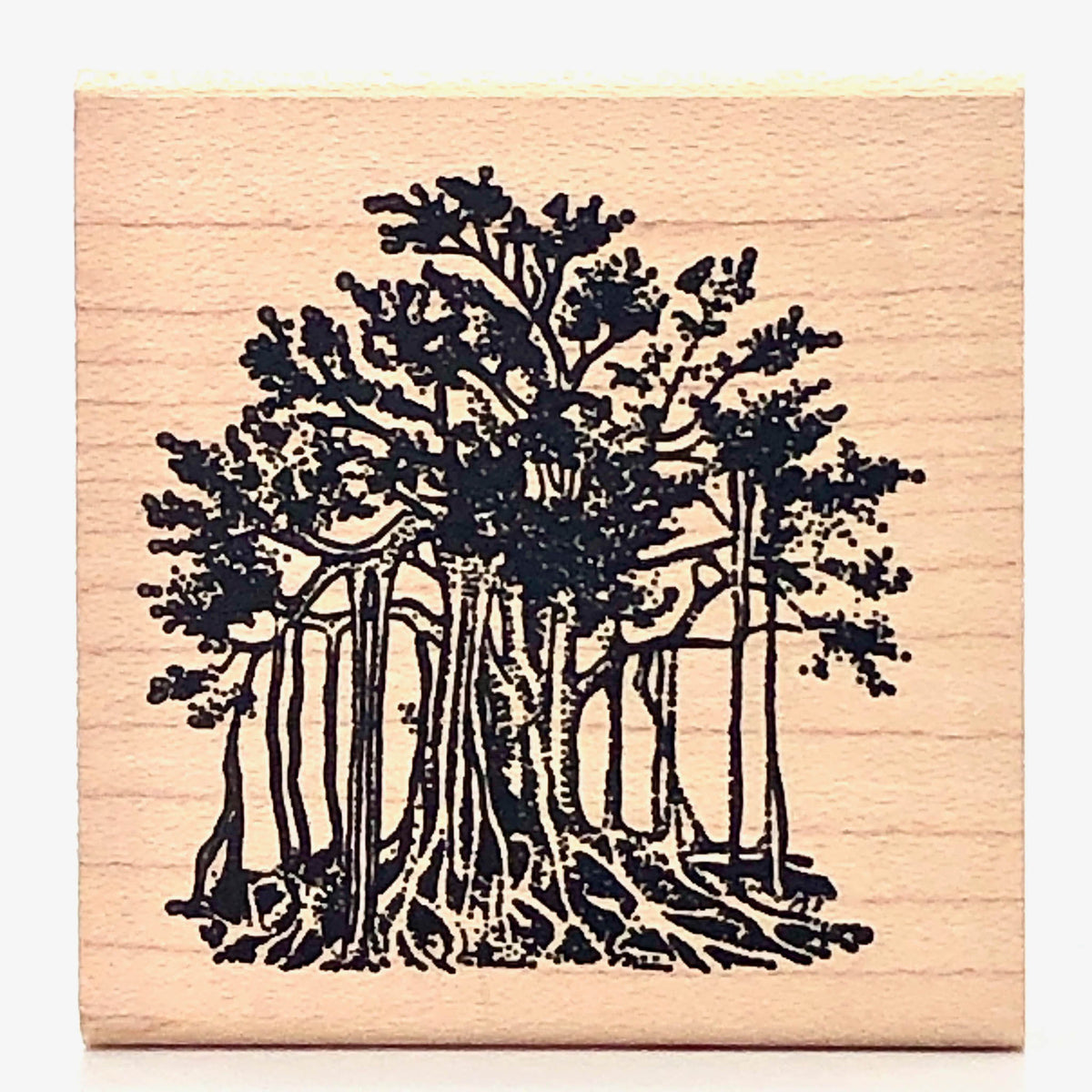 tree rubber stamps Banyan Tree Stamp