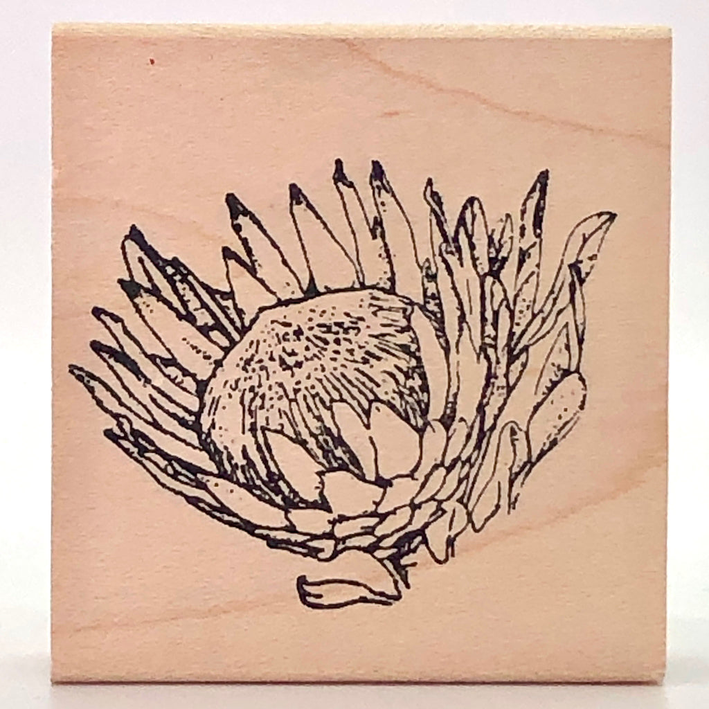 Small King Protea Stamp