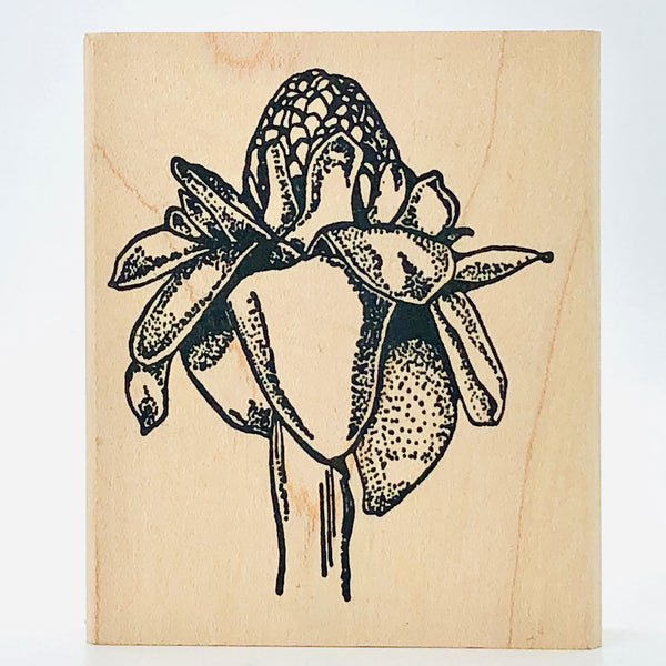 Torch Ginger Stamp