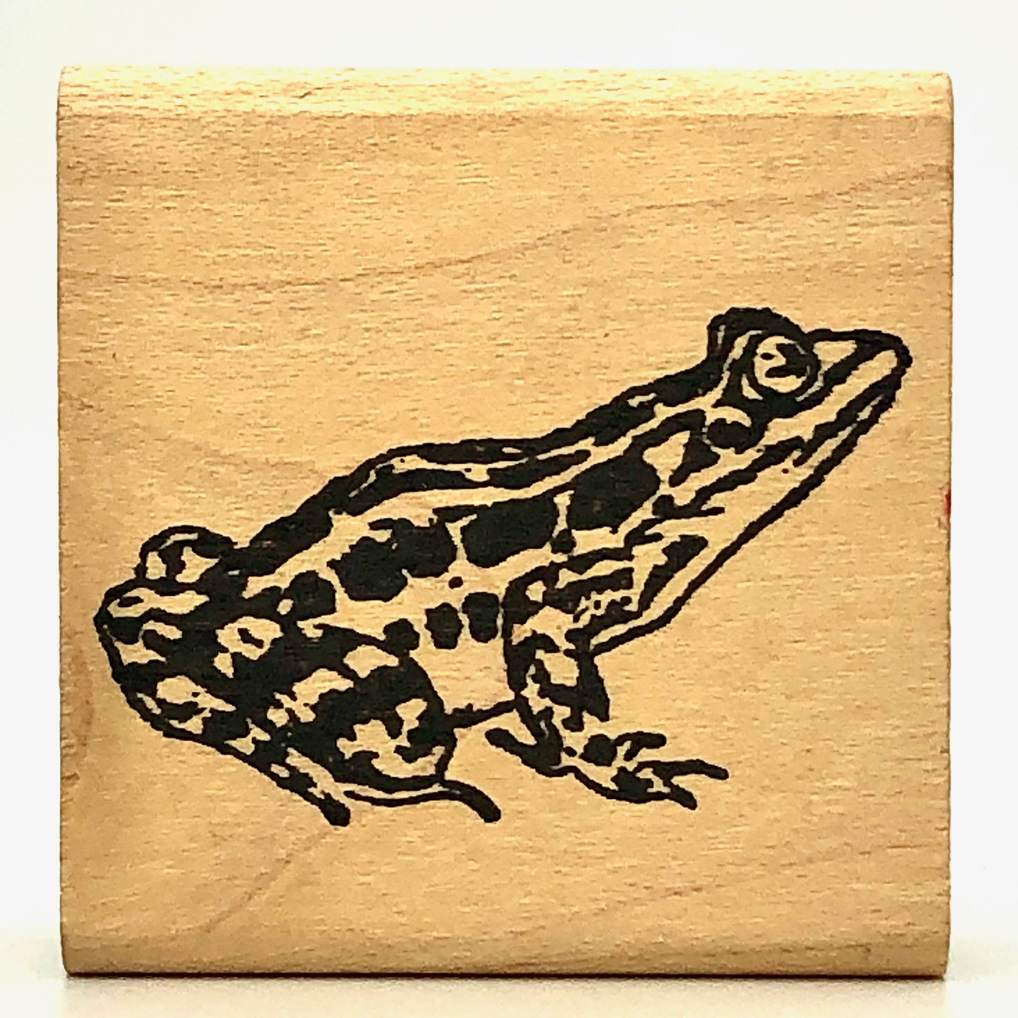 Frog Stamp– Rubber Stamp Plantation