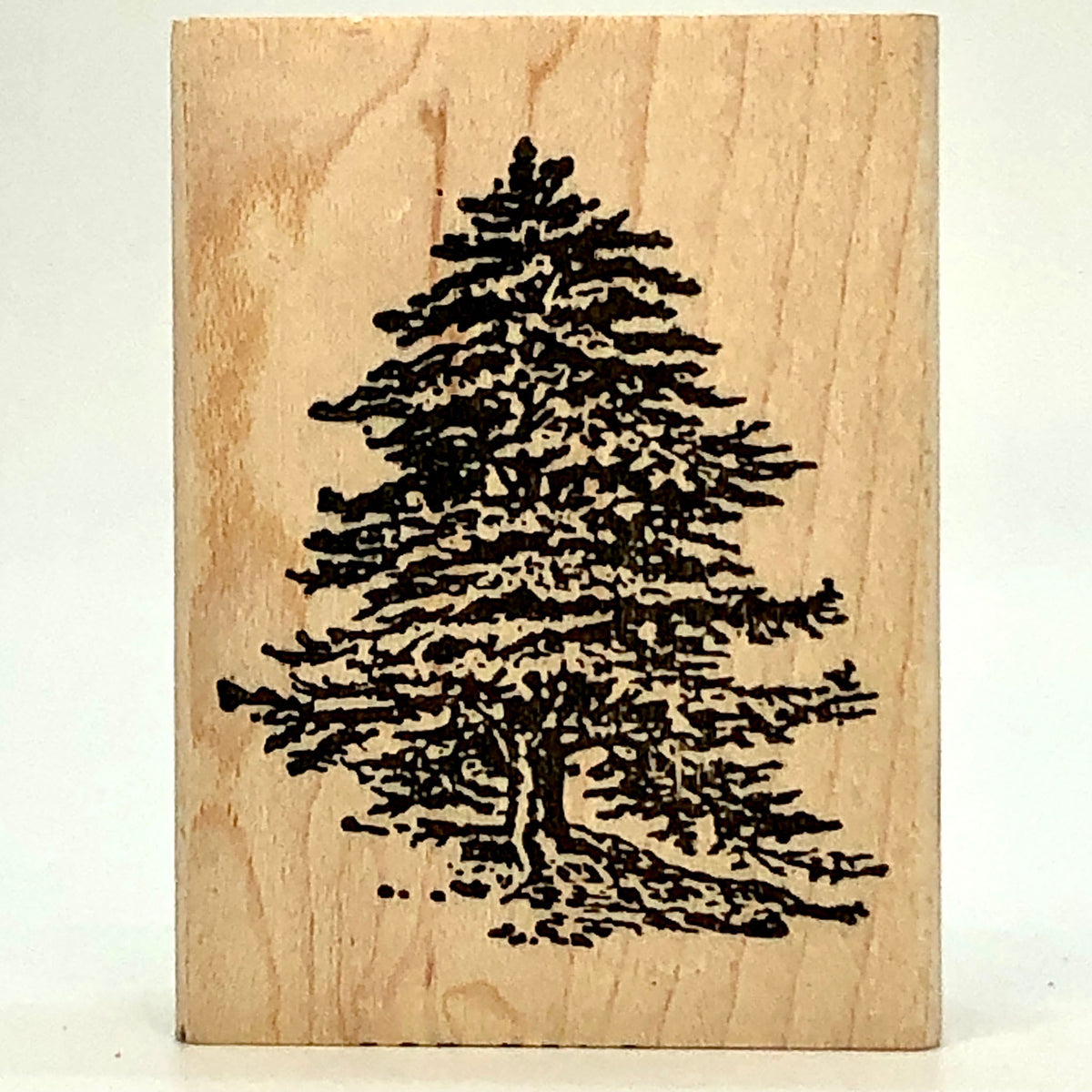 Cedar Stamp– Rubber Stamp Plantation