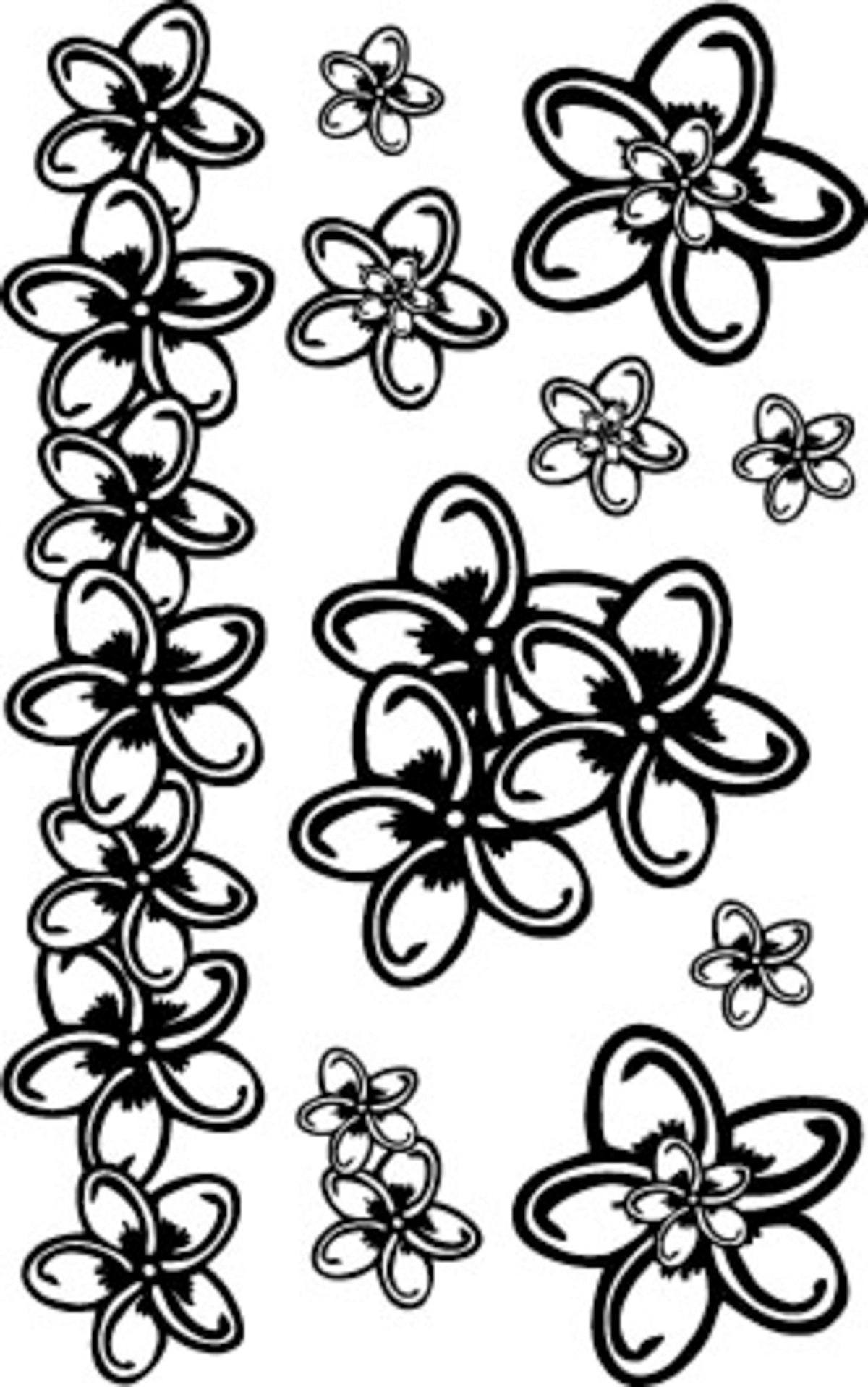 primula flower coloring pages frangipani tattoo black frangipani tattoo  desing simple plumeria flower drawing plumeria line drawing Stock Vector  Image  Art  Alamy