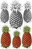 Pineapple Tattoos