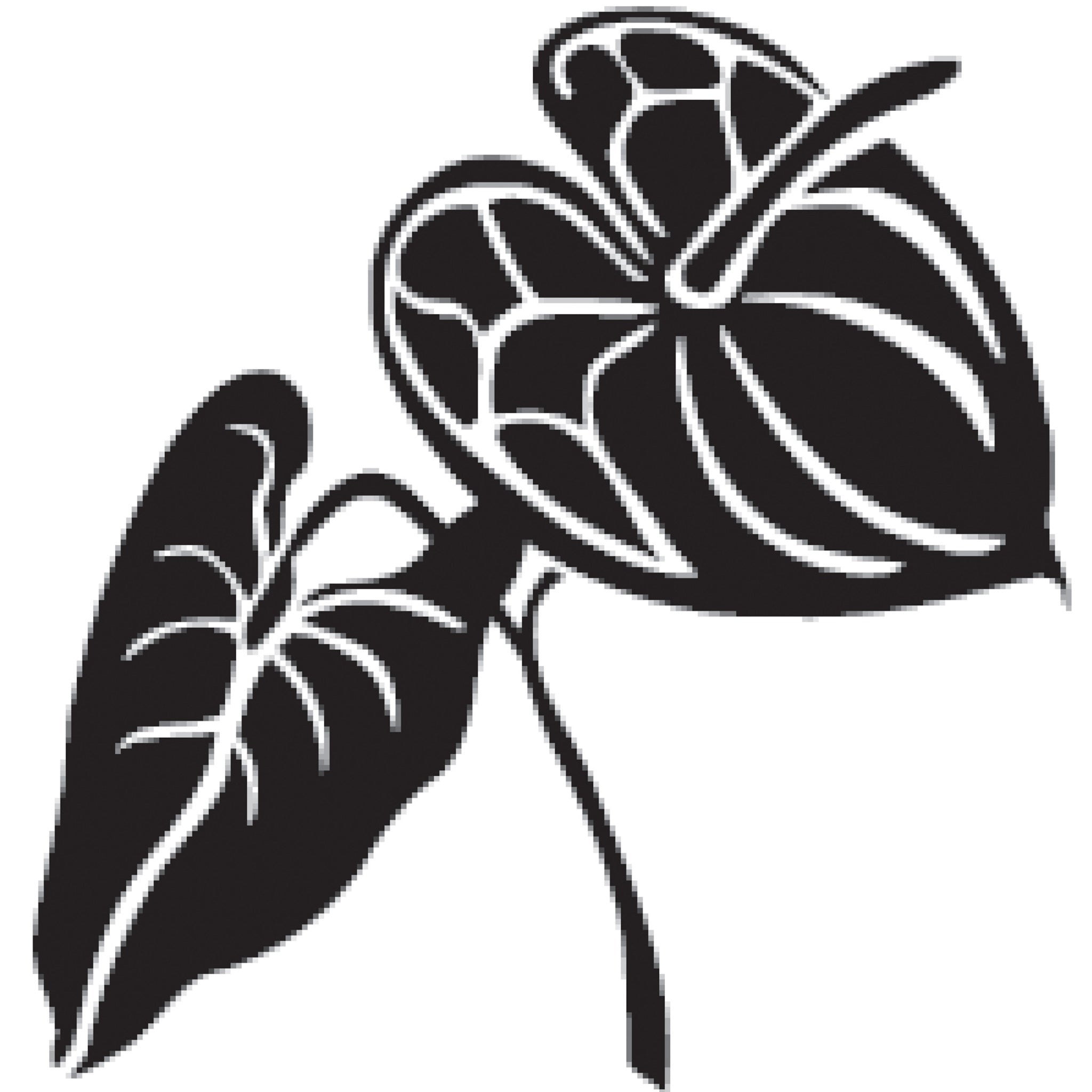 Anthurium With Leaf Etch Stencil– Rubber Stamp Plantation