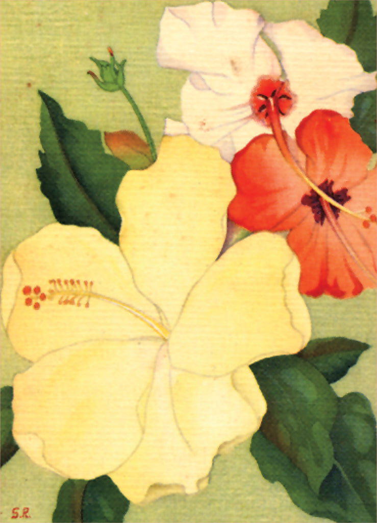 Hibiscus Light Switch Cover