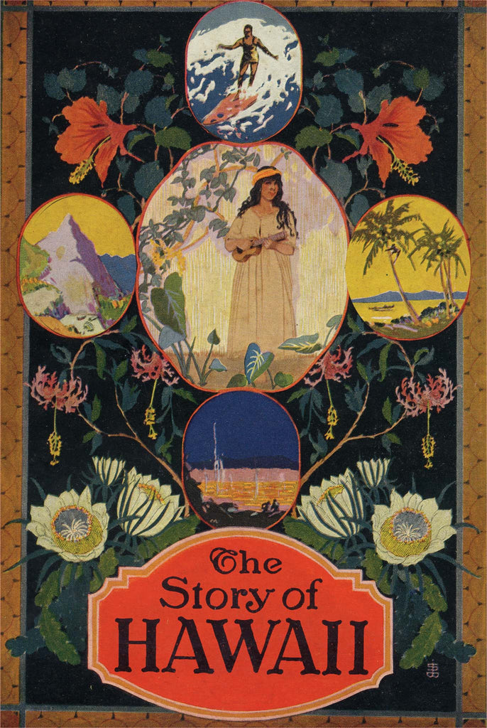 Story of Hawaii Light Switch Cover