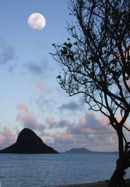 Chinaman's Hat Moon Light Switch Cover