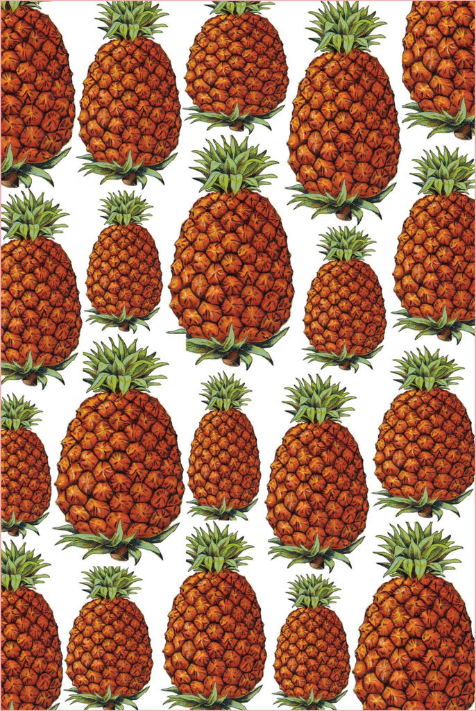 Pineapple Fruit Light Switch Cover
