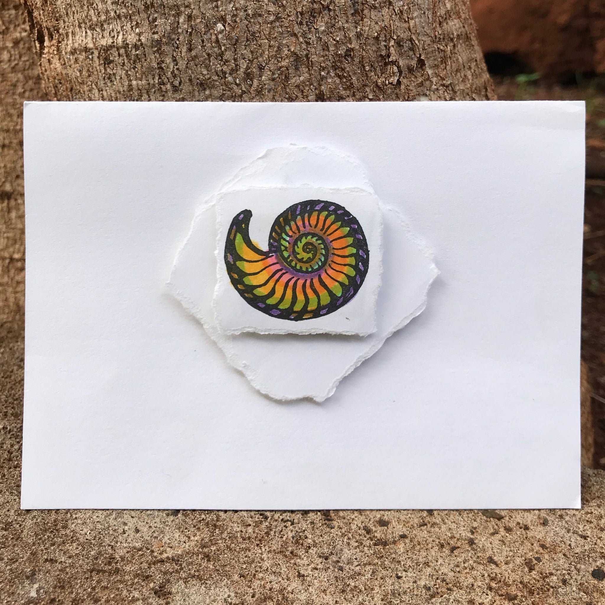 Nautilus Stamp Rubber Stamp Plantation